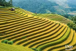 Must-visit spots in Mu Cang Chai