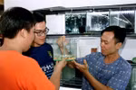 HCM City eyes 23 million USD from ornamental fish exports 