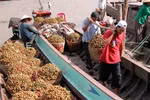 Vegetable, fruit export growth slows down