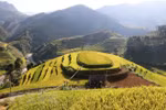 Tourism helps improve ethnic life in Mu Cang Chai 