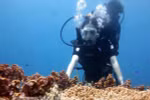 Underwater stone arch draws visitors to island district