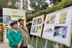 Vietnam’s top 10 fine art-photography events in 2018