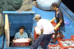 EC’s yellow card warning – big chance for fisheries sector’s restructuring