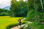 Heaven comes to earth in Loc Yen
