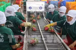 Tien Giang province’s export turnover hits 2.7 billion USD