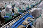 Seafood processing firms lack materials 
