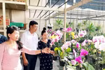 HCM City seeks to expand orchid market
