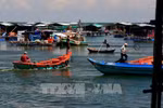 Kien Giang urged to protect aquatic resources 