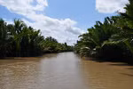 Building of Mekong natural history museum promoted 