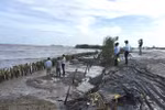 Ca Mau takes prompt actions against dyke erosion