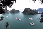 US newspaper names Ha Long Bay among world’s 35 most beautiful natural wonders