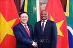Deputy PM Vuong Dinh Hue pays working visit to South Africa