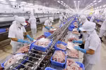 EVFTA: Businesses advised to improve product quality