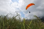 Paragliding festival returns Yen Bai province
