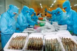 Vietnam keeps goal of export value growth at 7.5 percent in 2019