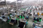 FDI disbursement up despite decline in capital inflow