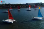 Ba Ria - Vung Tau city hosts sailing race 