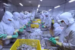 Vietnam continues to enjoy trade surplus with Israel
