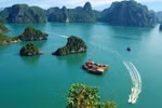 Ha Long city welcoming tourists back