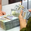The State Bank of Vietnam (SBV) sets the daily reference exchange rate at 25,631 VND/USD on October 28. (Photo: VNA)