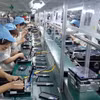 Workers assemble phone components at Handanbi Vina Co., Ltd. in Diem Thuy Industrial Park, Thai Nguyen province. (Photo: VNA)