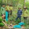 The release of endangered and rare wild animals is supervised by relevant agencies. (Photo published by VNA)