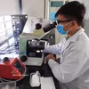Scientific research results help improve agricultural production efficiency by 20-30%. (Illustrative photo: VNA)