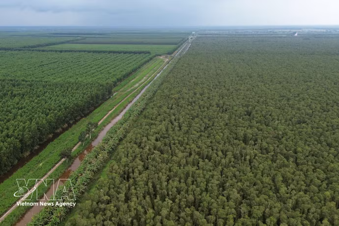 An aerial view of U Minh Ha National Park (Photo: VNA)