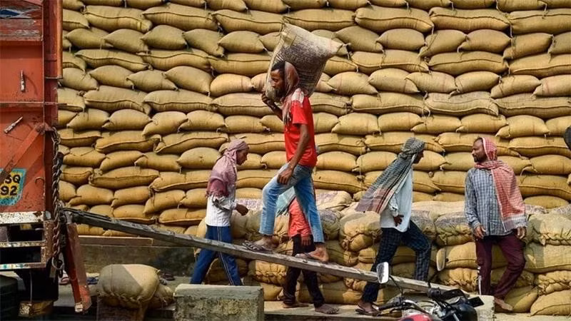 Workers transport rice at a warehouse in Jalandhar city, India. (Photo: ANI/VNA)