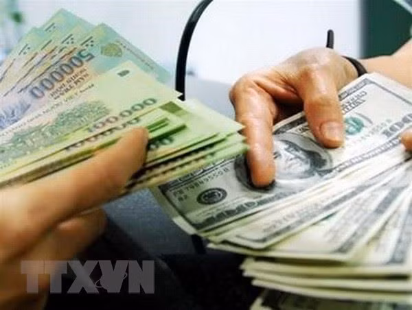 The daily reference exchange rate for the US dollar is set at 24,947 VND/USD on May 28. (Photo: VNA)