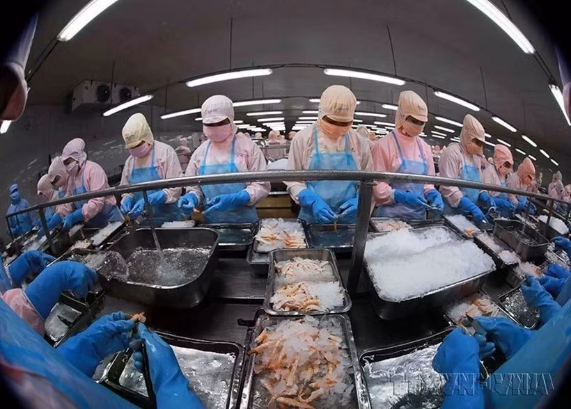 Vietnam secures top five spot in Singapore's seafood market (Photo: VNA)