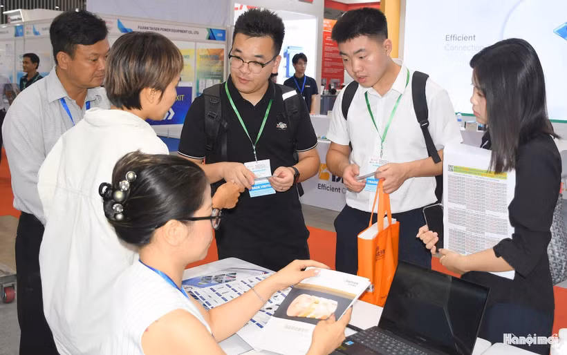 Visitors at the exhibitions (Photo: VNA)