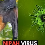 Weekly highlights: Health sector steps up preparedness against Nipah virus disease