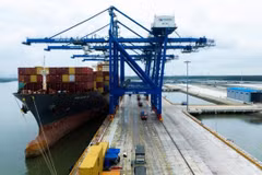 Dong Nai’s largest seaport welcomes first vessel
