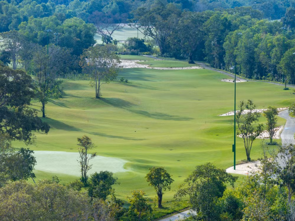 golf2.jpg