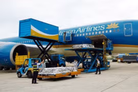 The flight carrying the mortal remains of Indian victims departs Ho Chi Minh City on July 13. (Photo published by VNA)