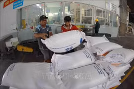 Rice for export at Thoai Son Foodstuff One-member Co. Ltd. under Loc Troi Group. (Photo: VNA)