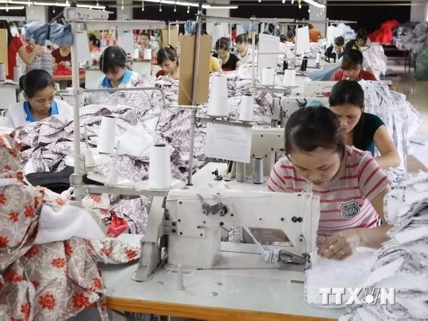 Binh Duong runs 1.9 billion USD trade surplus ảnh 1