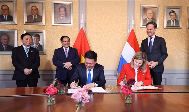 Promising future of Vietnam - Netherlands bilateral cooperation ảnh 2
