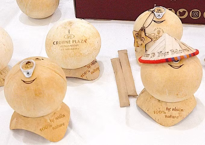 Opportunity for Vietnam’s coconut exports to US, China ảnh 2