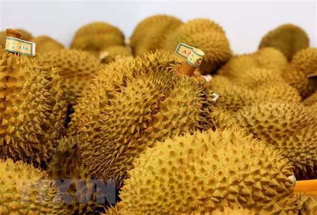 Fruit and vegetable exports rebound, hopefully to reach 5 billion USD target ảnh 1 Fruit and vegetable exports rebound, hopefully to reach 5 billion USD target ảnh 1
