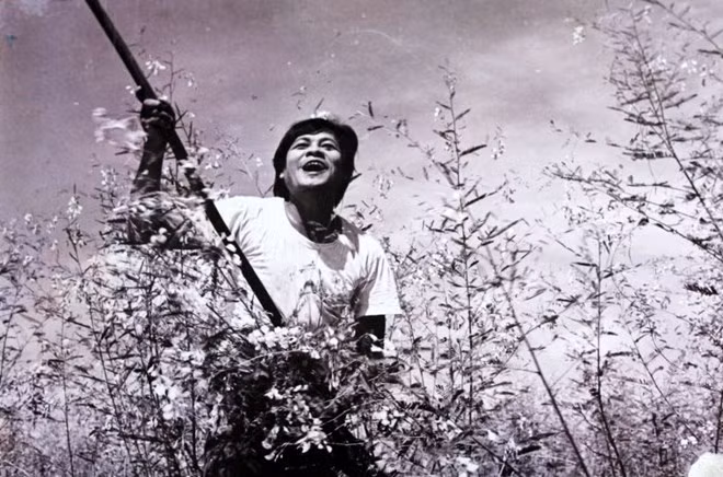 Vietnamese films screened on Indian national TV ảnh 1