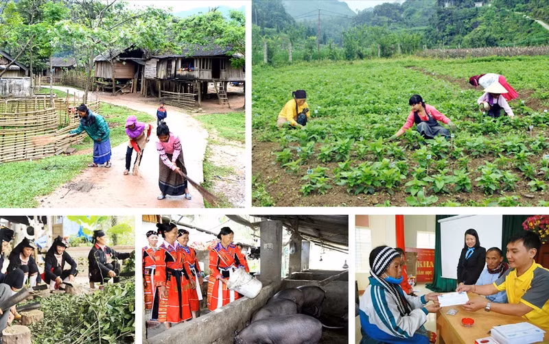 Over 240 million USD disbursed for 19 northern localities ảnh 1 Over 240 million USD disbursed for 19 northern localities ảnh 1
