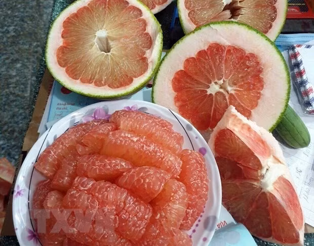 Ninh Thuan's grapefruit receives code to export to US ảnh 1