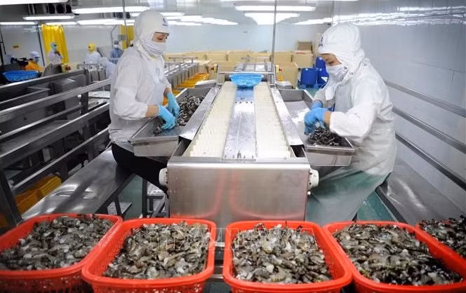 Int’l organisations: public investment to propel Vietnam’s long-term growth ảnh 1