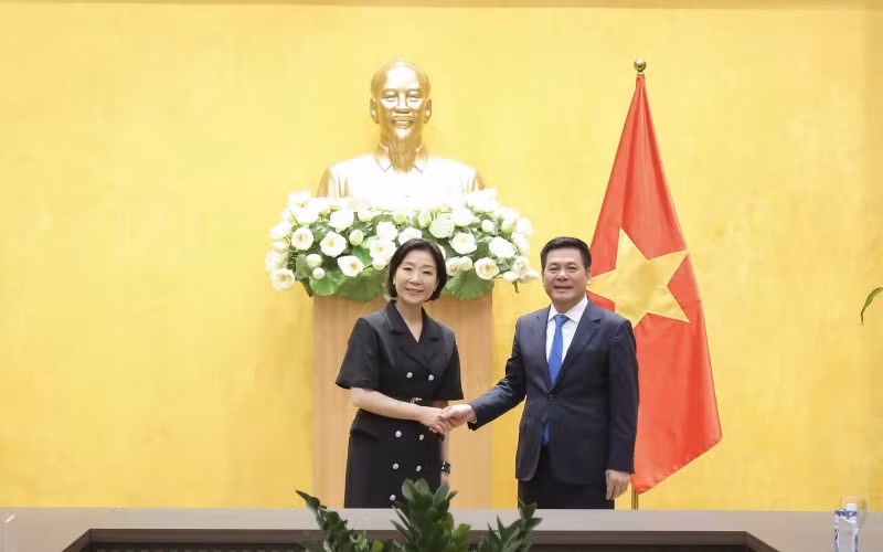 Vietnam, RoK intensify trade cooperation ảnh 1