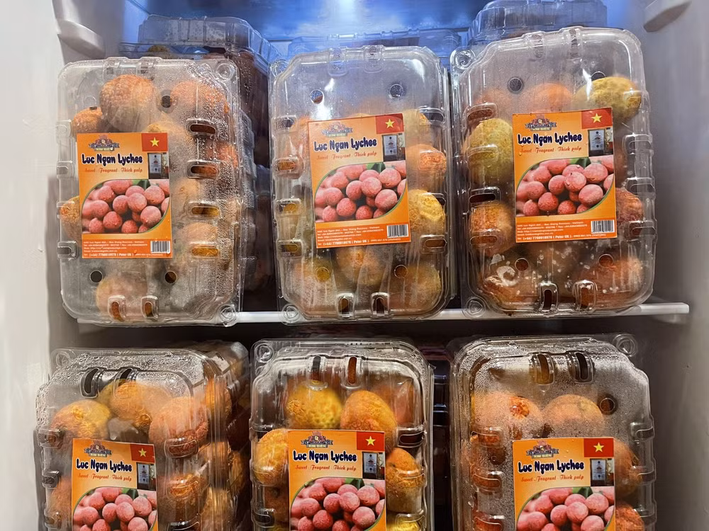 Vietnam’s first official-channel lychee shipment arrives in UK ảnh 2