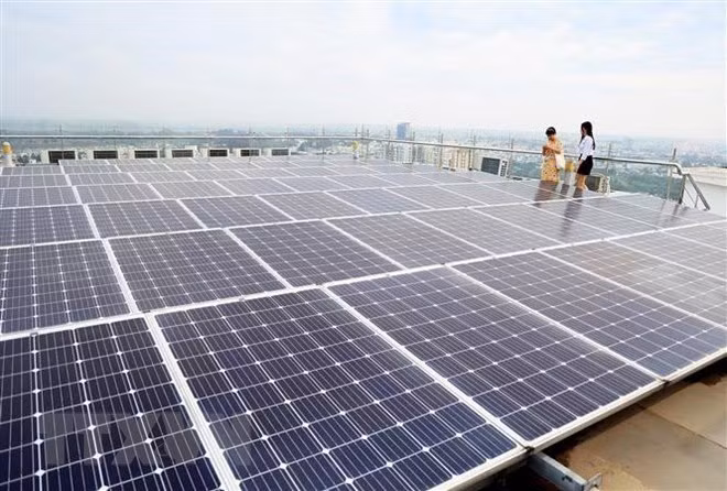 Vietnam prioritises green transition for sustainable development: workshop ảnh 1 Vietnam prioritises green transition for sustainable development: workshop ảnh 1