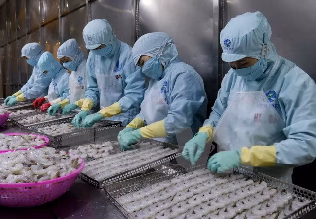 Seafood export value estimated at 844 million USD early 2017 ảnh 1
