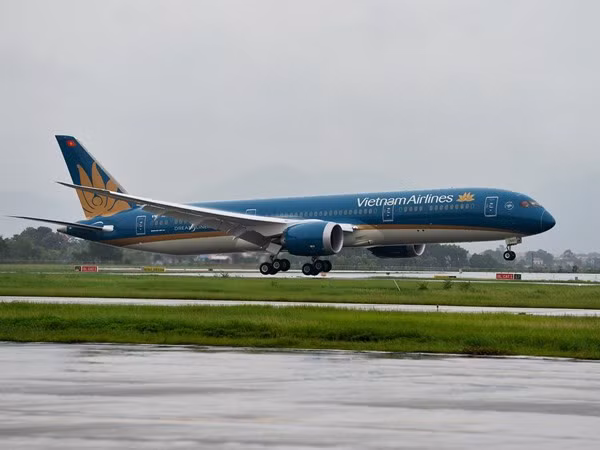 Airlines to increase airfares ảnh 1